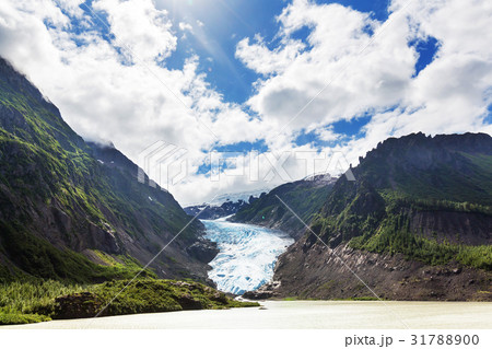 Bear glacier 31788900