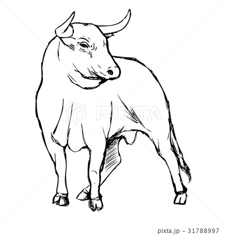 freehand sketch illustration of bul 31788997