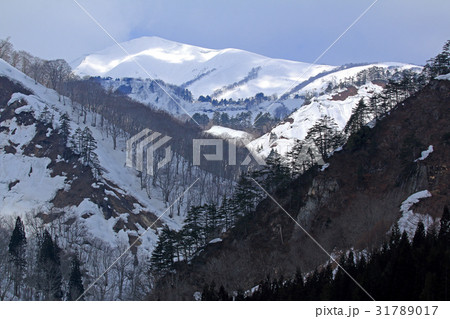 残雪の浅草岳　只見ダムから 31789017