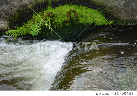 魚道の水しぶき（多摩川・二ヶ領上河原堰、２０１７年５月１１日） 31790438