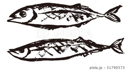 焼き魚のイラスト素材 31790573 Pixta