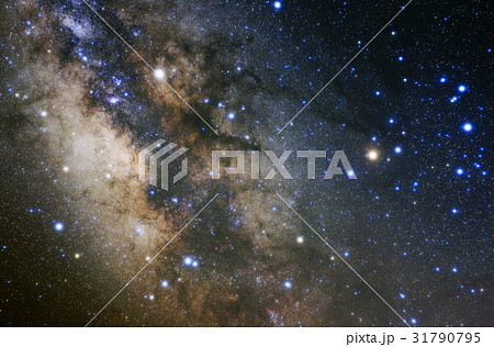 さそり座 さそり座 31790795