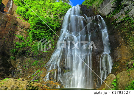 夏の立又渓谷 安の滝 夏の立又渓谷 安の滝 31793527