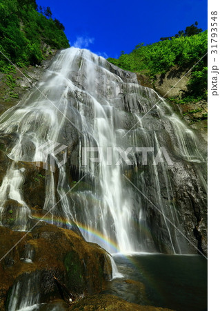 夏の立又渓谷　安の滝 31793548