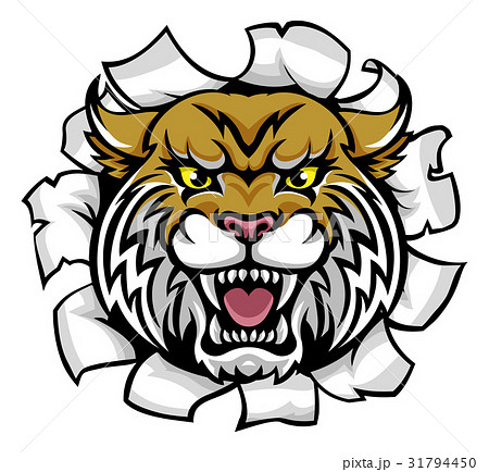 Angry Wildcat Background Breakthrough Angry Wildcat Background Breakthrough 31794450