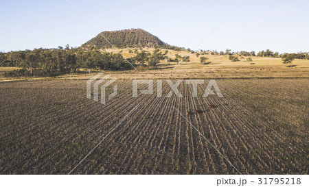 View of Mount Walker, Queensland View of Mount Walker, Queensland 31795218