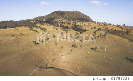 View of Mount Walker, Queensland View of Mount Walker, Queensland 31795228