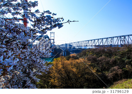 天門橋と新天門橋　天草五橋　一号橋 31796129