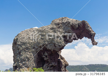 Elephant Rock  31796385