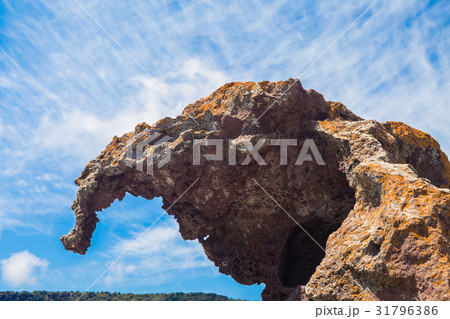 Elephant Rock Elephant Rock 31796386