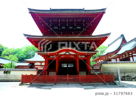 九州　人気　おすすめ　観光地　大分県　中津市　薦神社 31797663