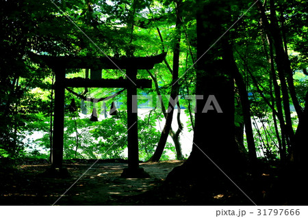 九州　人気　おすすめ　観光地　大分県　中津市　薦神社 31797666