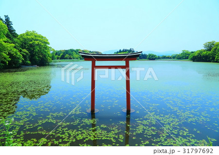 九州　人気　おすすめ　観光地　大分県　中津市　薦神社　三角池 31797692