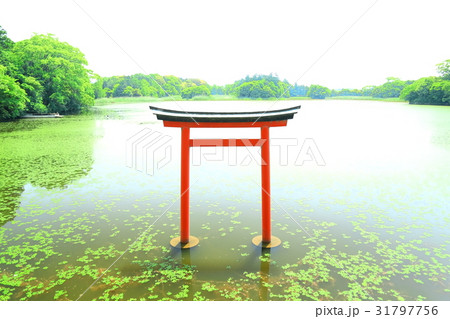 九州 人気 おすすめ 観光地 大分県 中津市 薦神社 九州 人気 おすすめ 観光地 大分県 中津市 薦神社 31797756