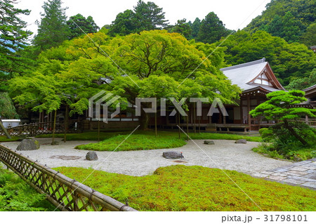 九州　人気　おすすめ　観光地　福岡県　糸島市　雷山　雷山千如寺　大悲王院　楓 31798101