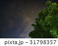 Night Sky with Green Trees 31798357