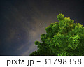 Night Sky with Green Trees 31798358