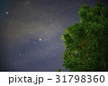 Night Sky with Green Trees 31798360