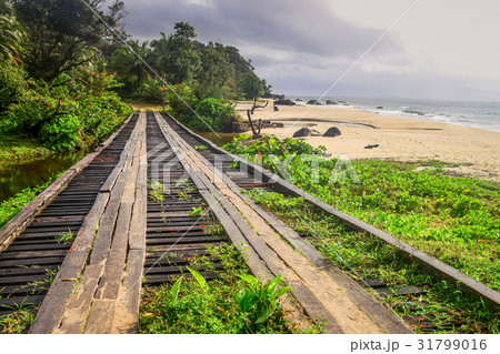 Wooden bridge on the coast Wooden bridge on the coast 31799016