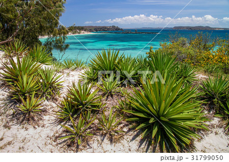 Turquoise coast on Bay of Pigeons Turquoise coast on Bay of Pigeons 31799050