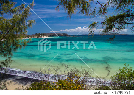 Turquoise coast on Bay of Pigeons Turquoise coast on Bay of Pigeons 31799051