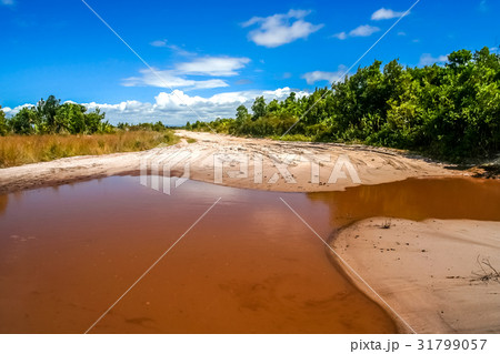 Malagasy coastal road 31799057