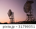 アンテナ 31799351