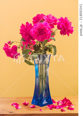 Pink roses with blue vase on wooden table top Pink roses with blue vase on wooden table top 31800341