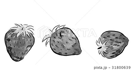 イチゴ ＜水墨画のくだもの＞のイラスト素材 [31800639] - PIXTA