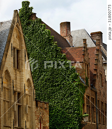 Medieval Houses in Bruges 31800775