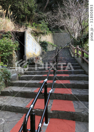 波浮港 踊子坂 31800893