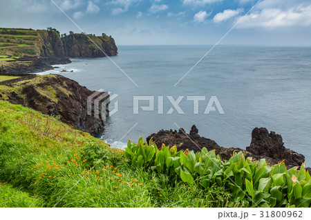 North coast of Sao Miguel Island, Atlantic Ocean. 31800962