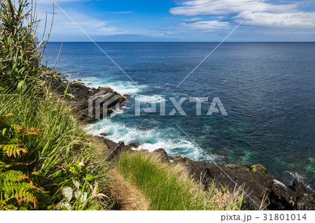 North Shore near Santo Antonio on SaoMiguel Island 31801014