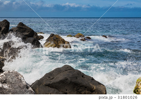 North Shore near Santo Antonio on SaoMiguel Island North Shore near Santo Antonio on SaoMiguel Island 31801026