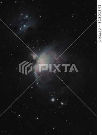 オリオン座大星雲 31801341