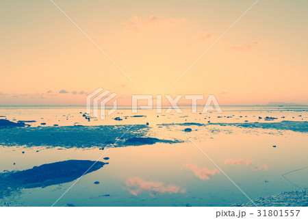 Vintage tropical beach and sky at dusk 31801557