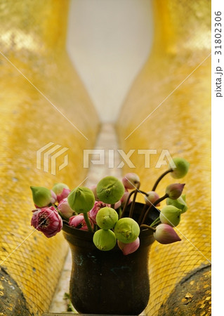 タイ王国、バンコク、仏教国、宗教、信仰、ハスの花、お供え 31802306