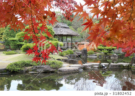 秋の姫路城好古園 31802452