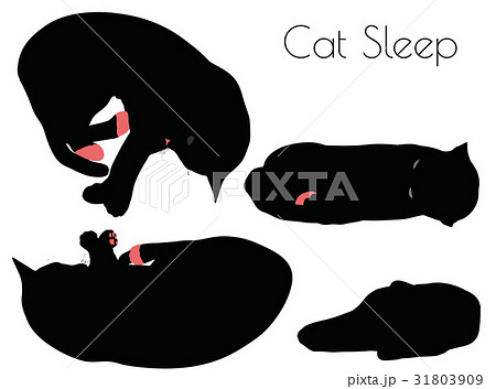 cat silhouette in Sleep Pose 31803909