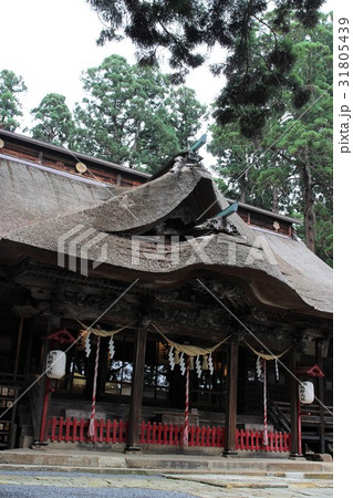 熊野神社・拝殿 31805439