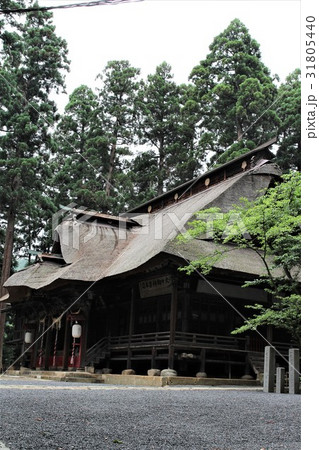 熊野神社・拝殿 31805440