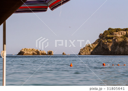The buoy in the sea 31805641