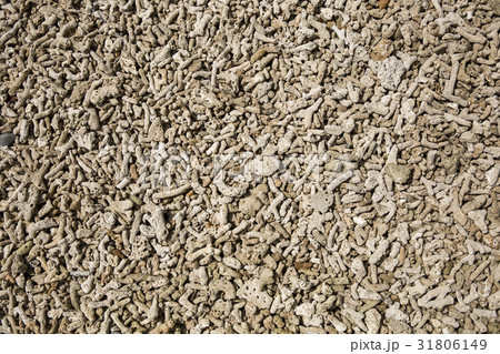 interesting texture from a closeup of coral rock 31806149