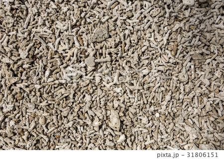 interesting texture from a closeup of coral rock 31806151