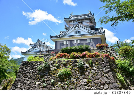 越前大野城 天守 越前大野城 天守 31807349