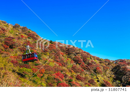 雲仙 仁田峠 ロープウェイ の紅葉の写真素材