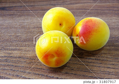 色づいた梅の実 色づいた梅の実 31807917