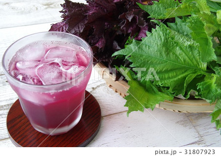 シソジュース・赤ジソと青ジソ 31807923