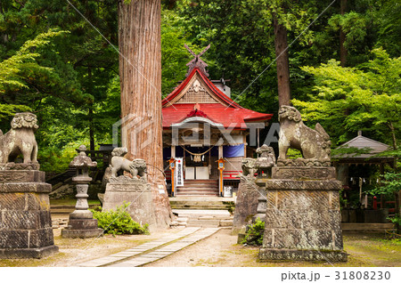 中野神社 31808230