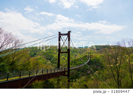 星のブランコ　府民の森ほしだ園地 31809447